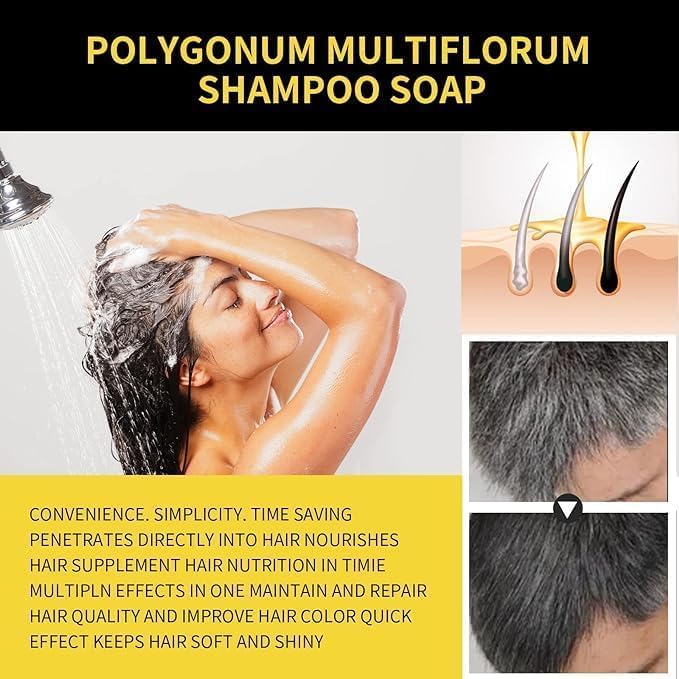 EELHOE Natural Black Dyeing Shampoo